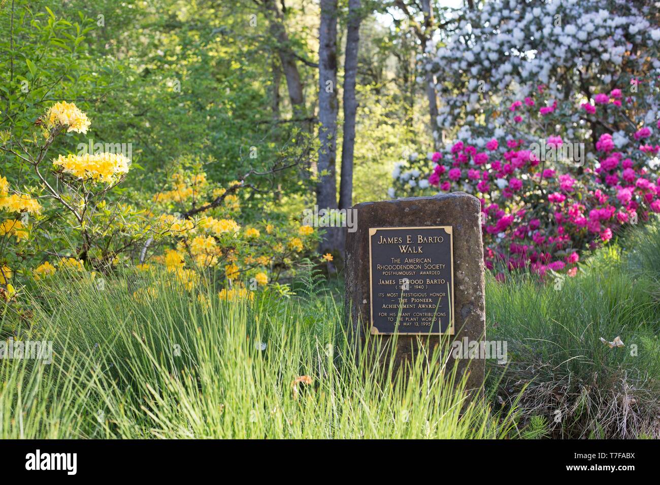 A sign for the James E. Barto walk at the Rhododendron Garden at Hendricks park in Eugene, Oregon, USA. Stock Photo