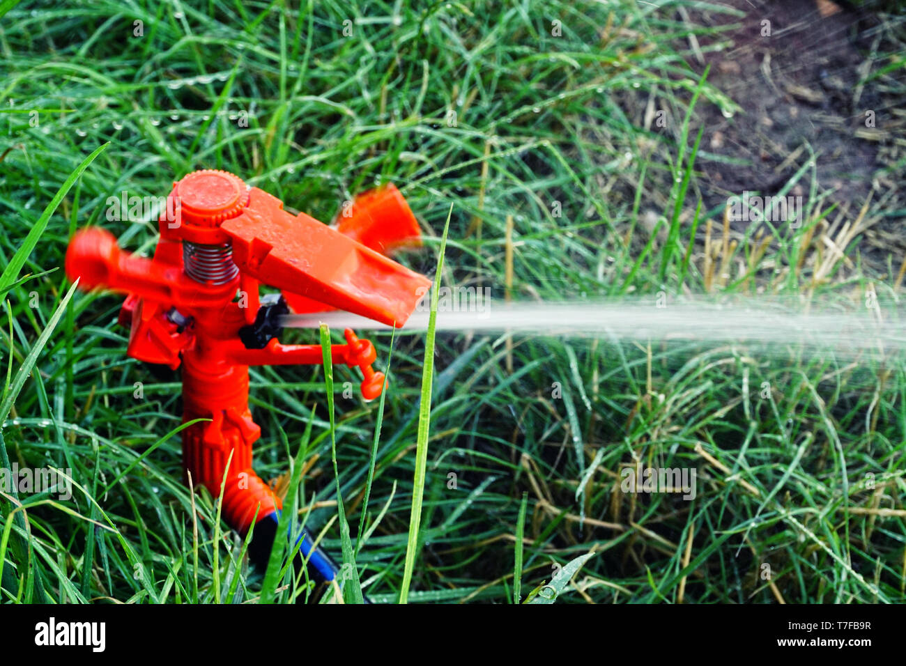 Garden gardening irrigation system hires stock photography and images