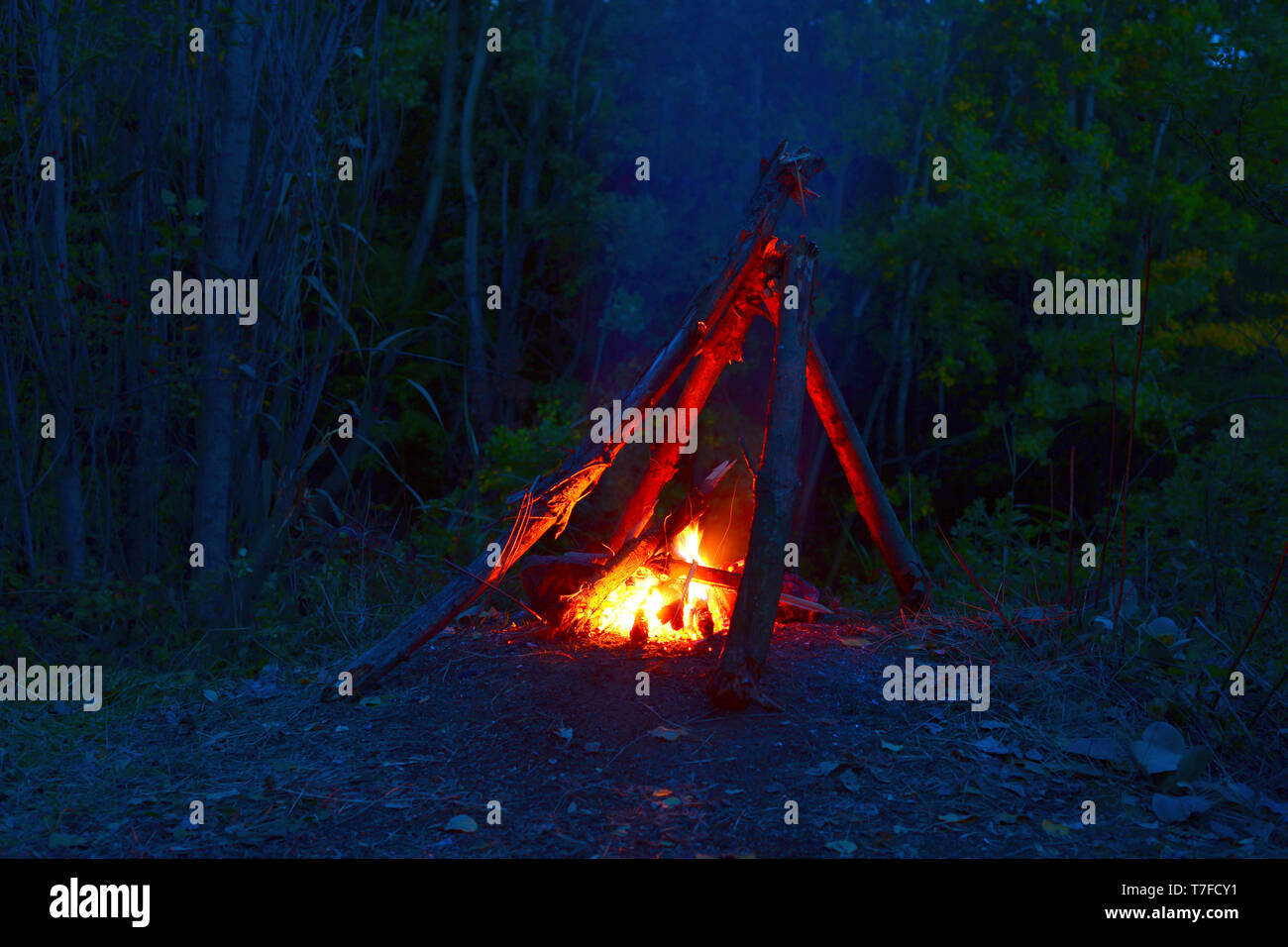 Campfire hires stock photography and images Alamy