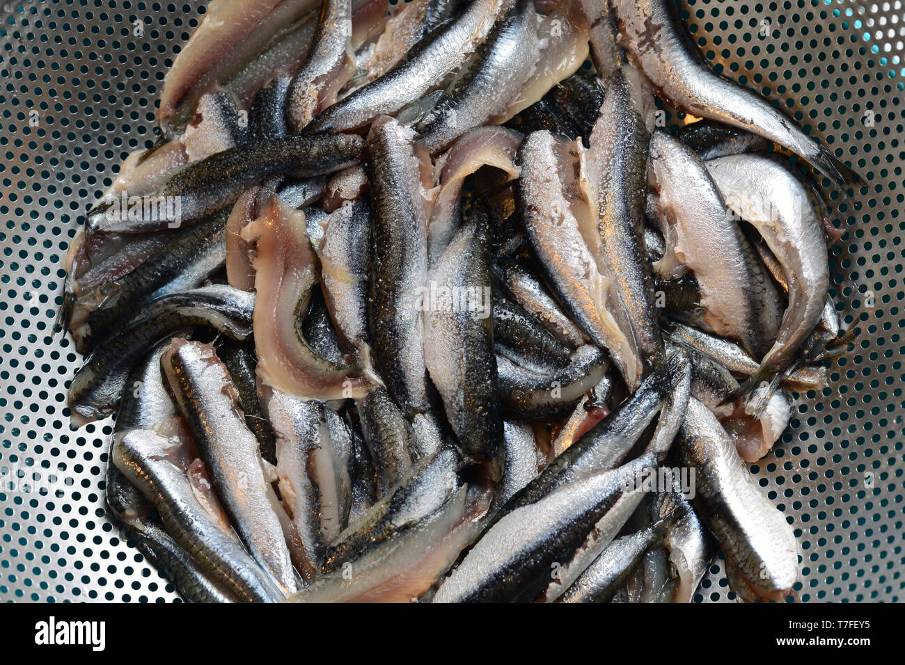 Anchovy fish preparation at home close up view Stock Photo
