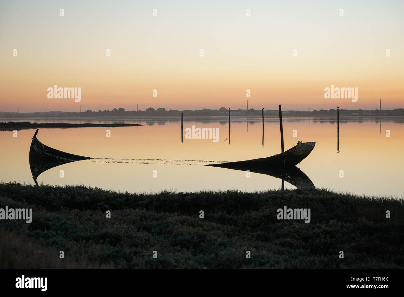Weathered and sunken boat in the Aveiro Lagoon, on a sunset. Stock Photo