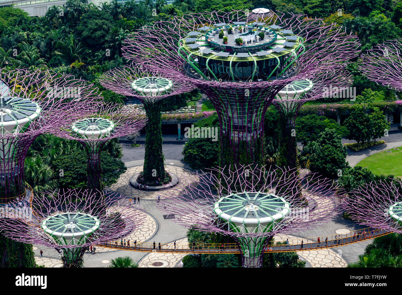 Supertree Grove At The Gardens By The Bay Nature Park, Singapore, South East Asia Stock Photo