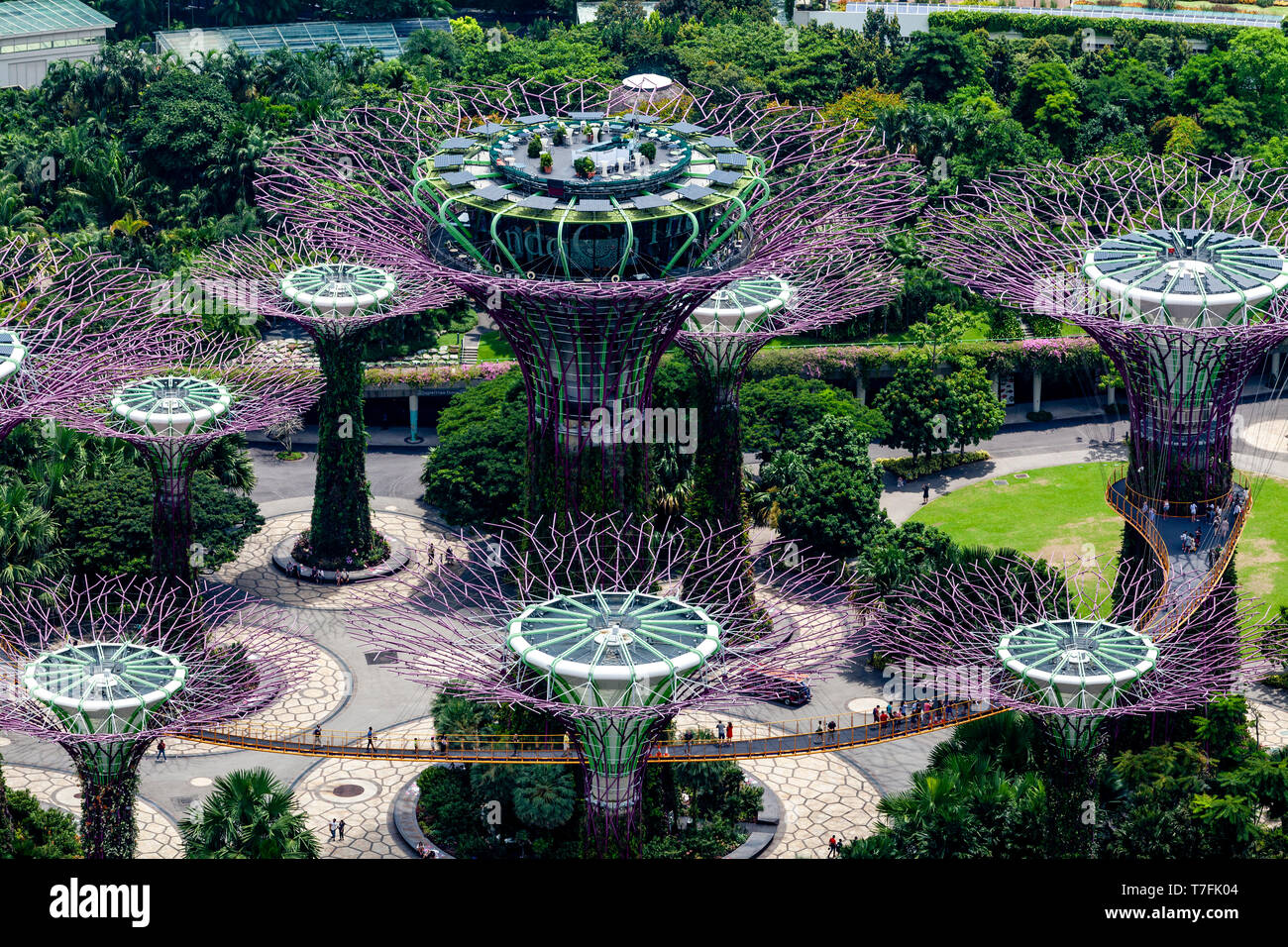 Gardens by the bay singapore aerial hi-res stock photography and images ...