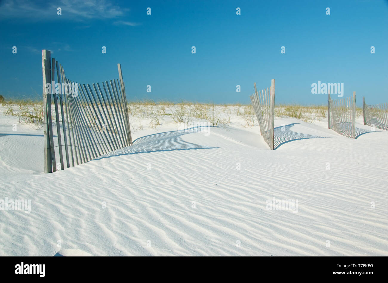 Sand dunes in Gulf State Park, Gulf Shores, Alabama, USA. Stock Photo