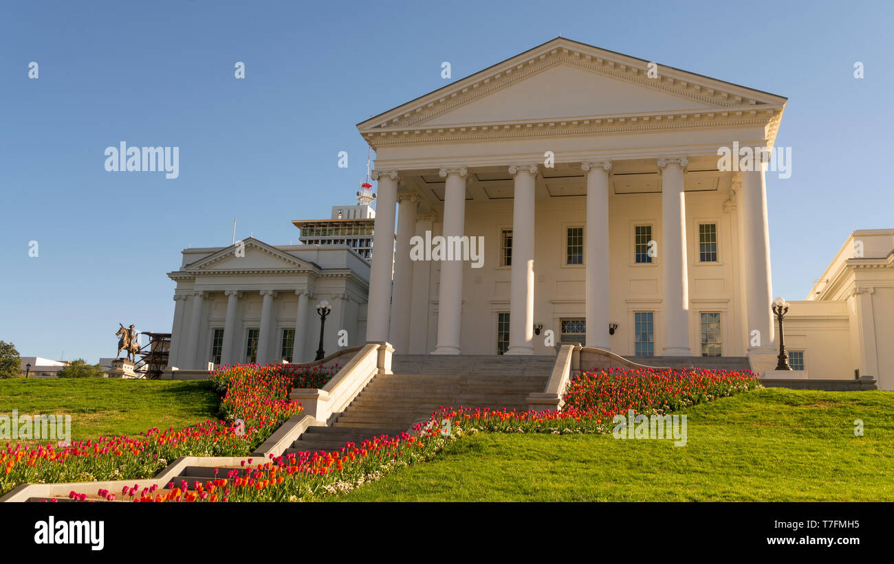 Tulips Bloom in the bright sun at the capital building in Richmond Stock Photo