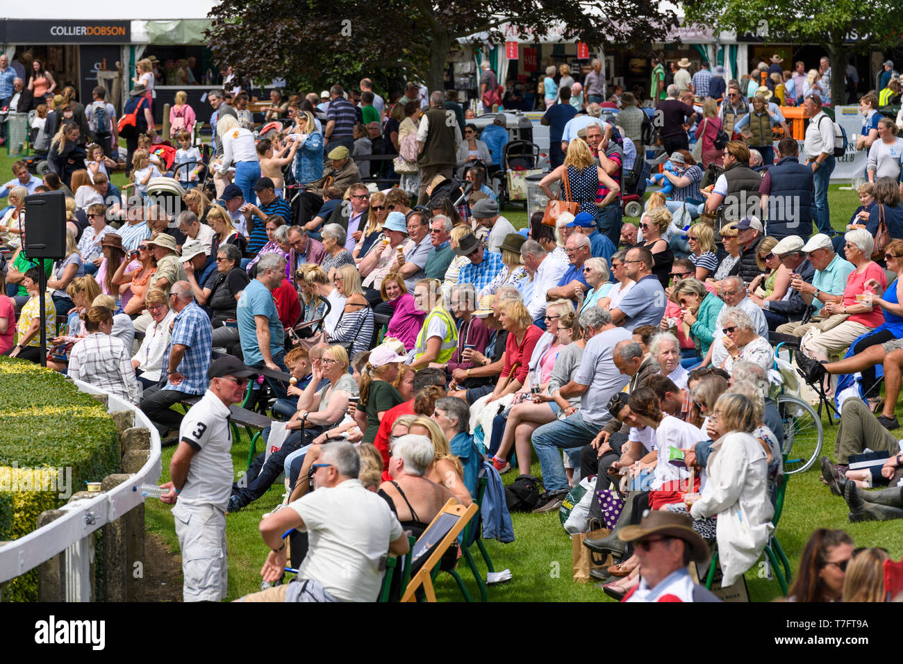 Large crowd of people spectating, gathered around main arena relaxing, sitting in sun, watching event - Great Yorkshire Show, Harrogate, England, UK. Stock Photo