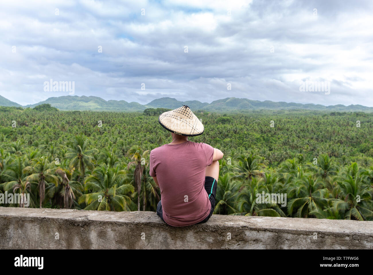 Coconut plantation philippines hires stock photography and images Alamy