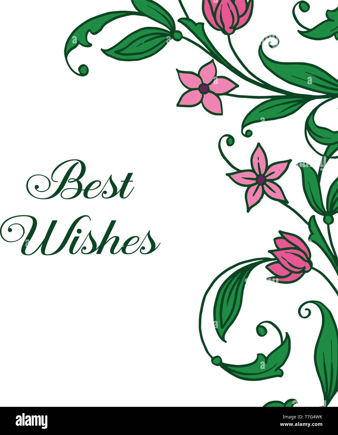 Vector illustration card best wishes with green leafy flower frames ...