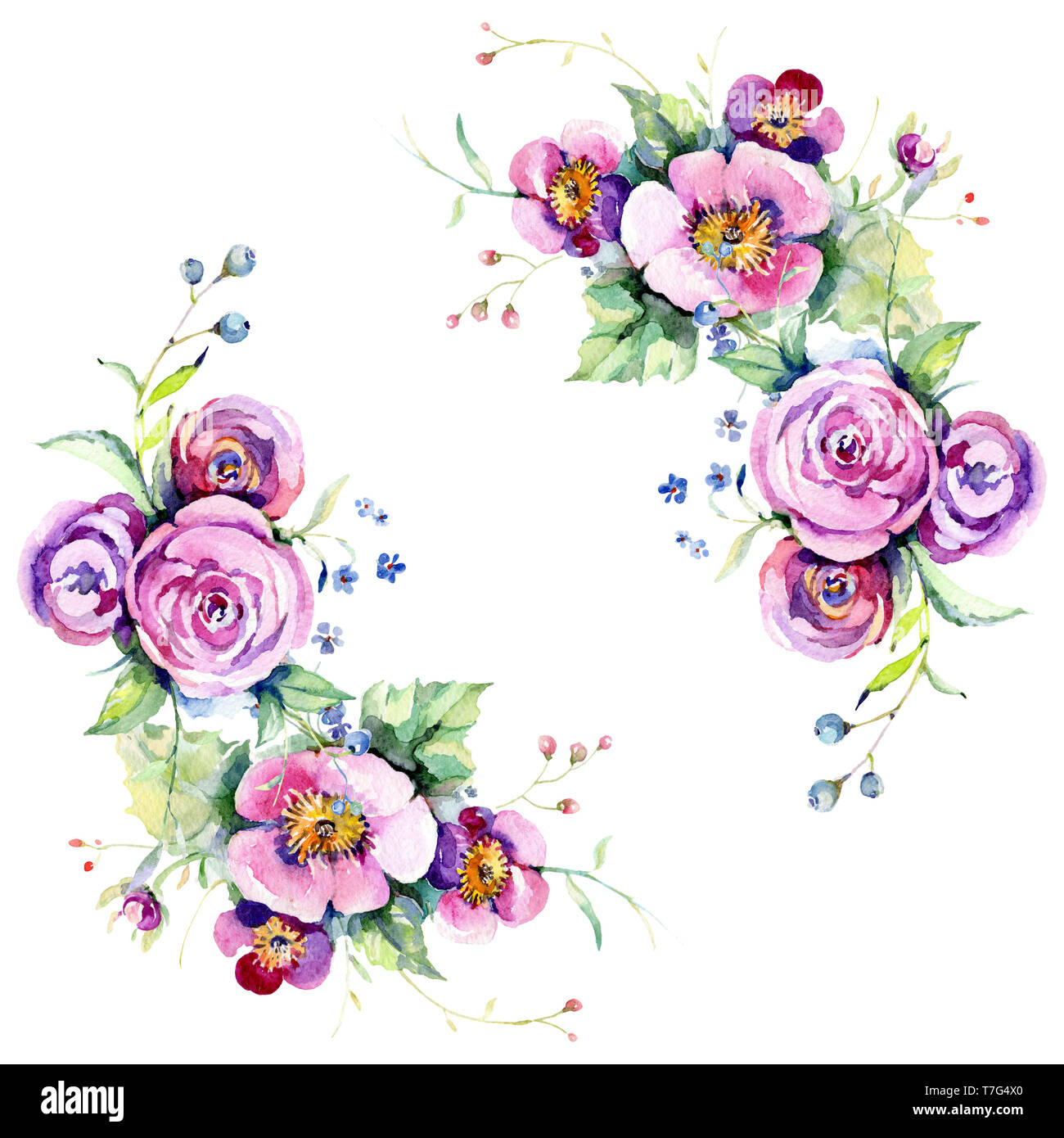 Pink rose bouquet loral botanical flowers. Watercolor background ...