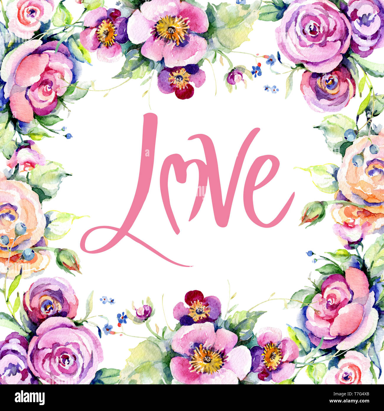 Pink rose bouquet loral botanical flowers. Watercolor background ...