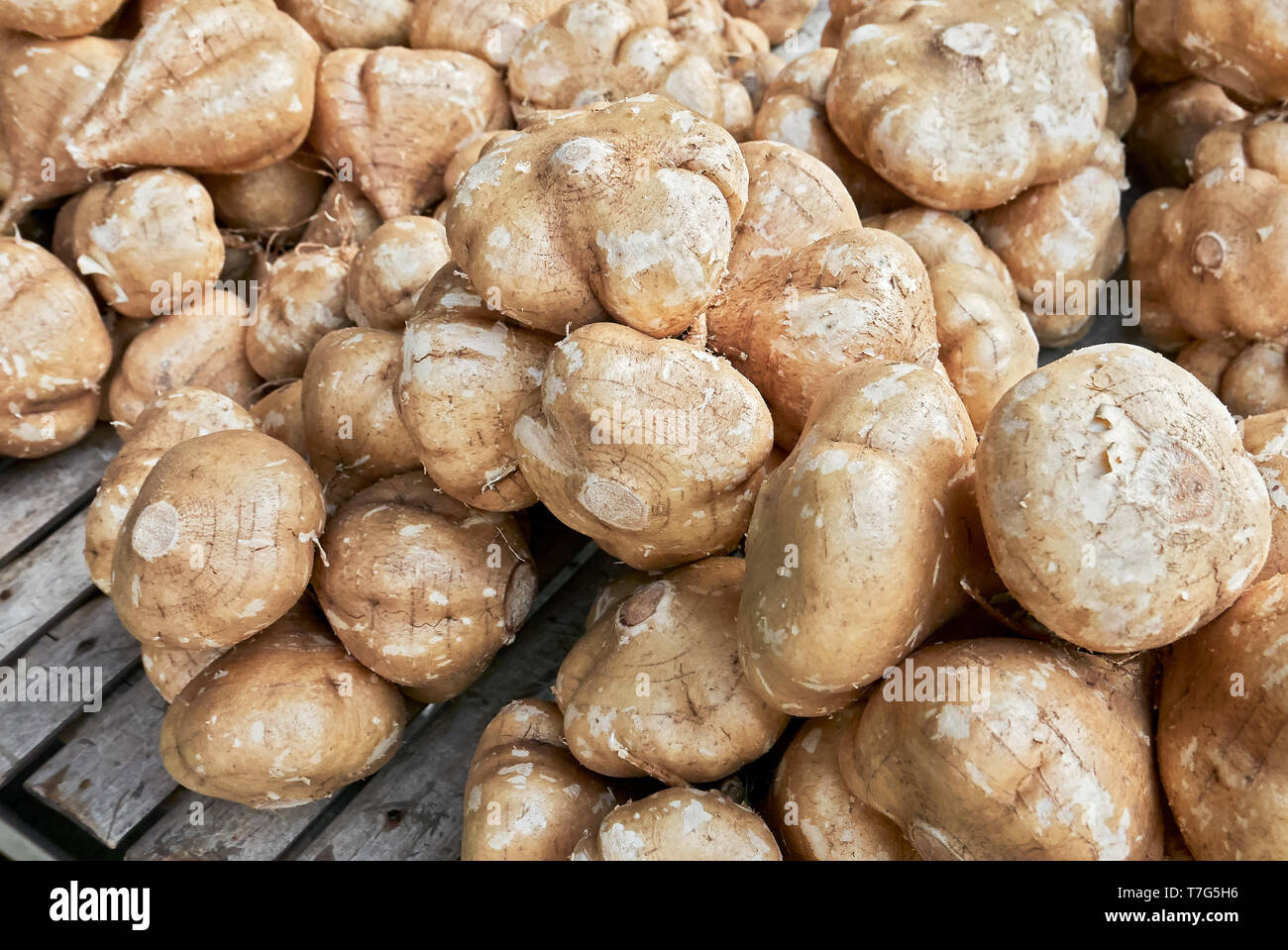 Close-up of a bunch of brown colored turnip vegetables lying on a bamboo table for sale at a local farm market in the Philippines Stock Photo