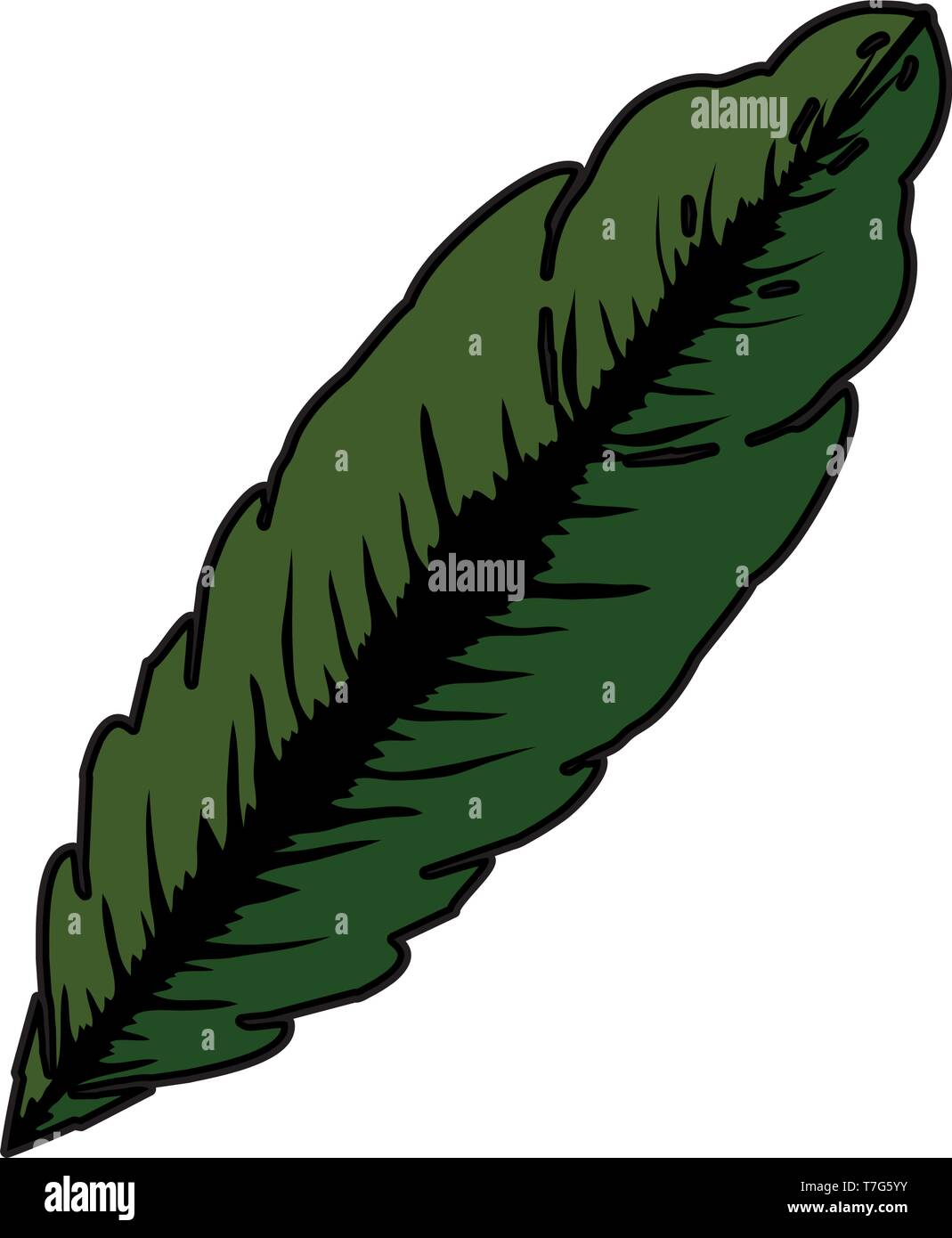 tropical and exotic palm leaf Stock Vector Image & Art - Alamy