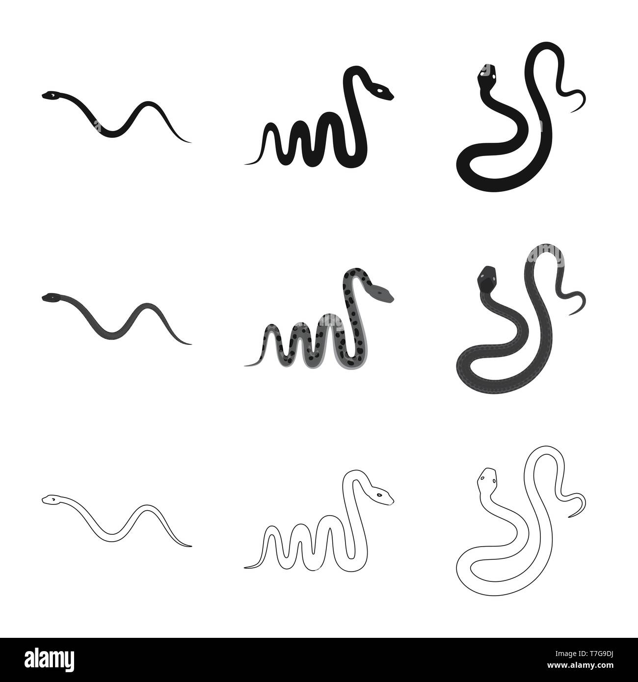 snake,tail,python,spiral,jungle,forest,large,leather,tropical,creeping ...