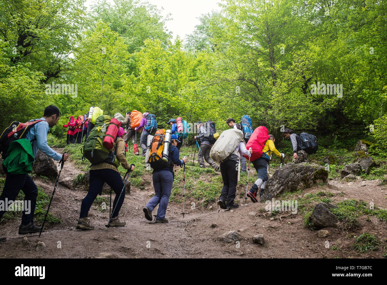 Gilan Province / Iran- 05182017: A group of hikers is hiking in the jungle. Stock Photo