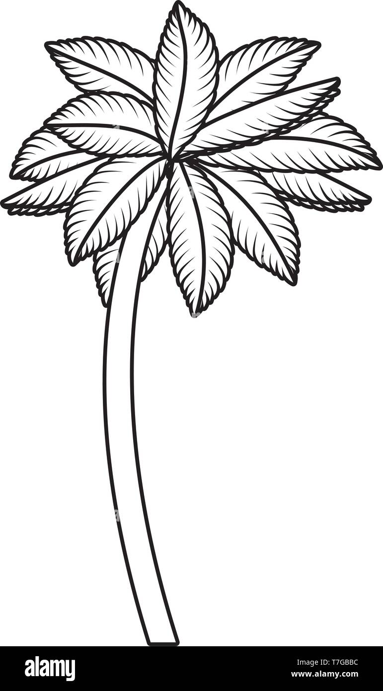 tropical tree palm icon Stock Vector Image & Art - Alamy