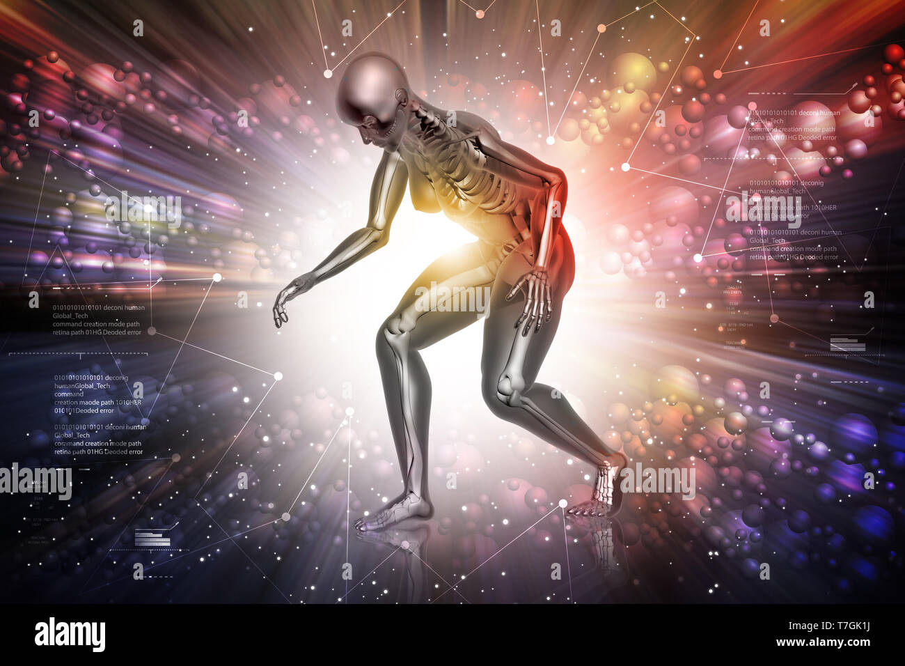 Scanning human anatomy medic science hi-res stock photography and ...