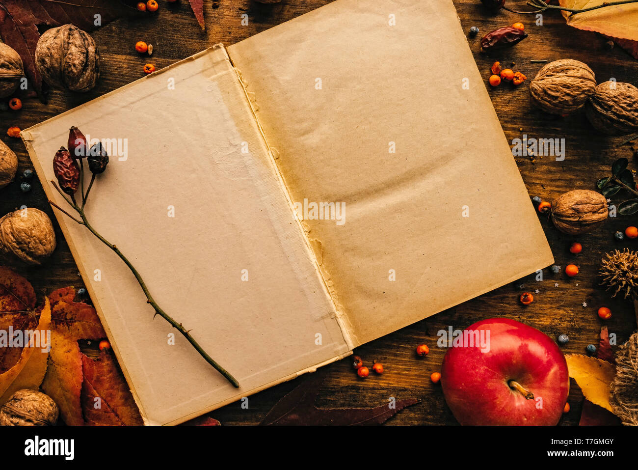 Blank diary page copy space with autumn decoration. Empty old mock up paper surface on the table, top view flat lay. Stock Photo