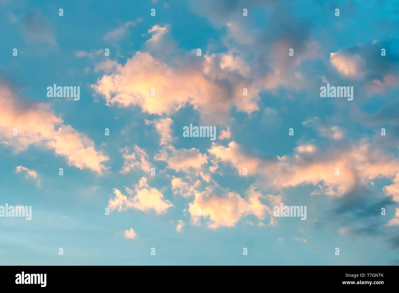 cloud background with a pastel color. Pink clouds against a blue sky at  sunset Stock Photo - Alamy