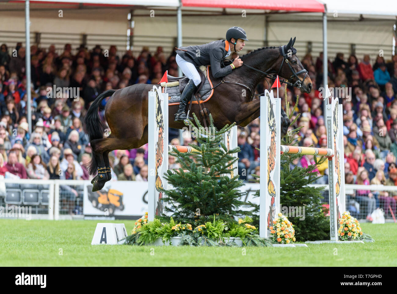 Christopher Burton and COOLEY LANDS during the showjumping phase, Mitsubishi Motors Badminton Horse Trials, Gloucestershire, 2019 Stock Photo