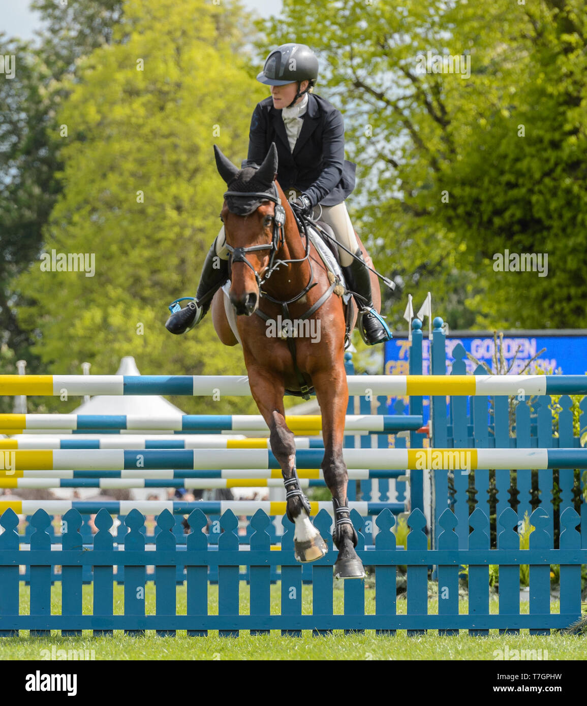 Imogen Murray and IVAR GOODEN during the showjumping phase, Mitsubishi Motors Badminton Horse Trials, Gloucestershire, 2019 Stock Photo