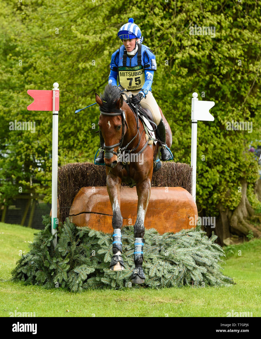 Imogen Murray and IVAR GOODEN during the cross country phase of the Mitsubishi Motors Badminton Horse Trials, May 2019 Stock Photo