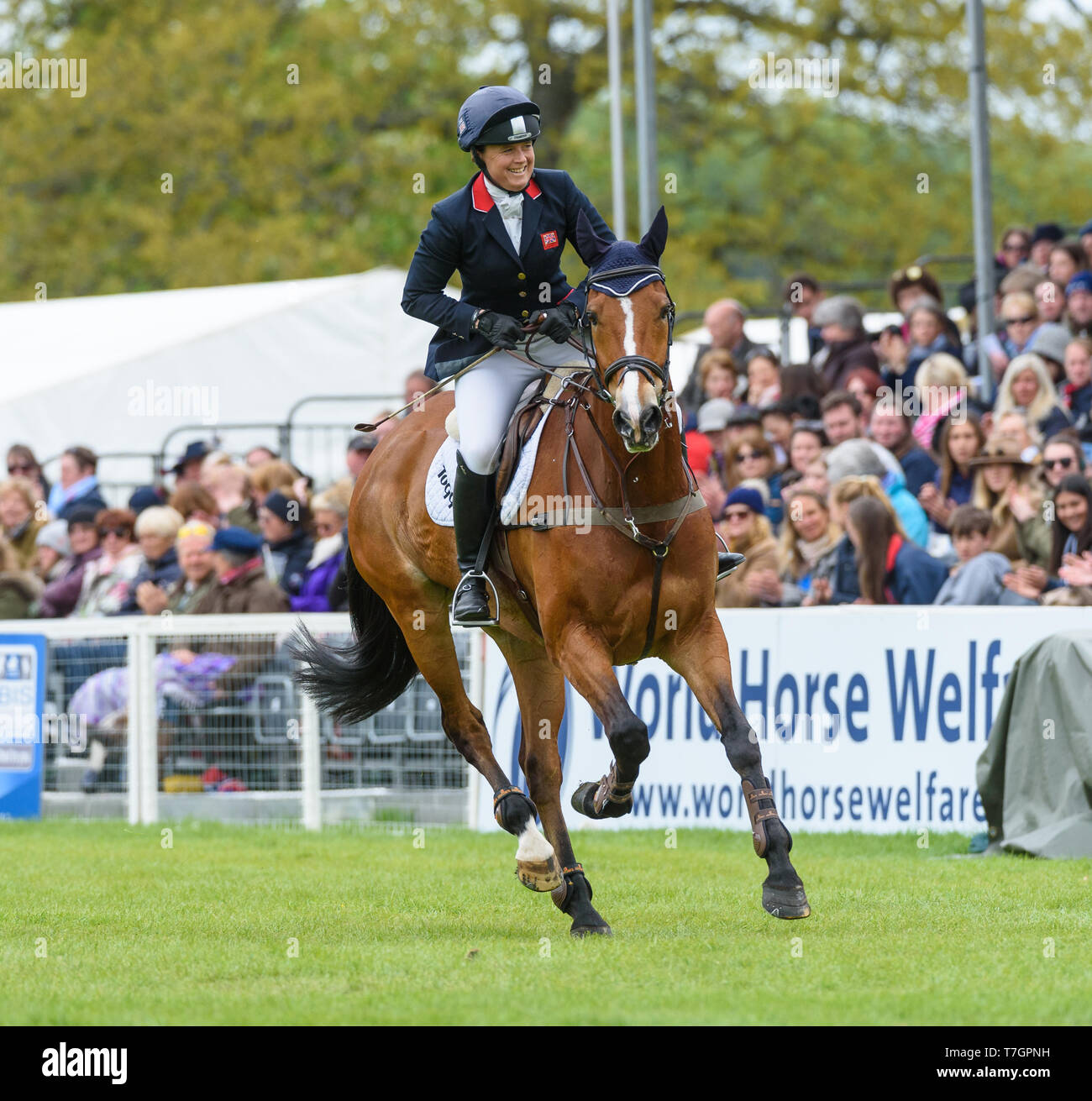 Pippa Funnell and MAJAS HOPE during the showjumping phase, Mitsubishi Motors Badminton Horse Trials, Gloucestershire, 2019 Stock Photo
