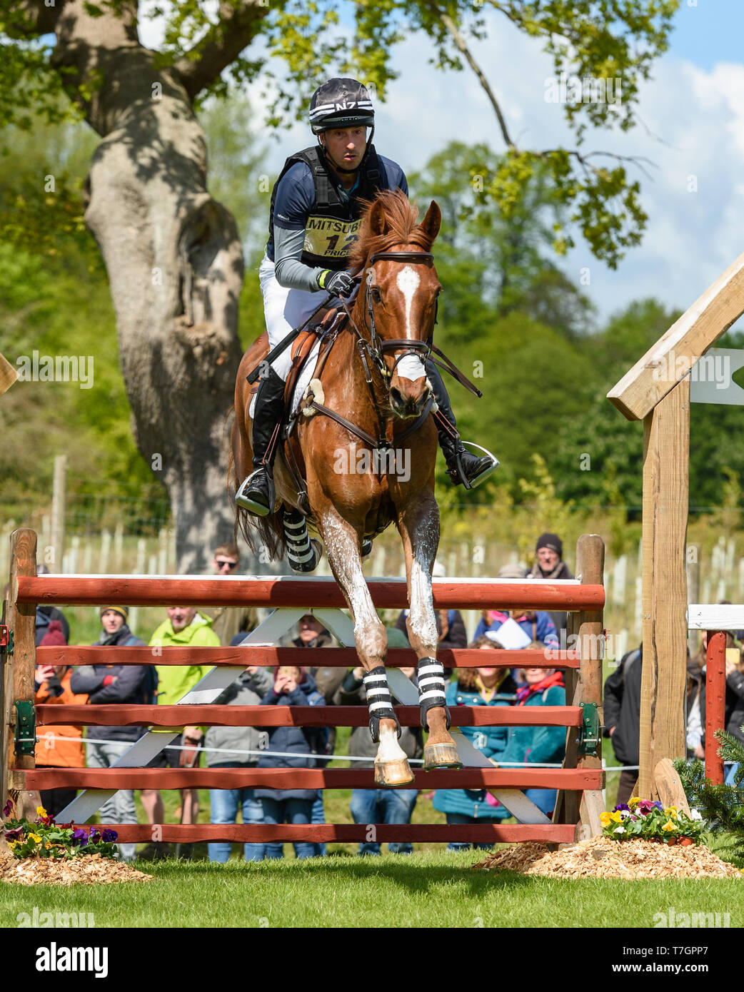 Tim Price and BANGO during the cross country phase of the Mitsubishi Motors Badminton Horse Trials, May 2019 Stock Photo