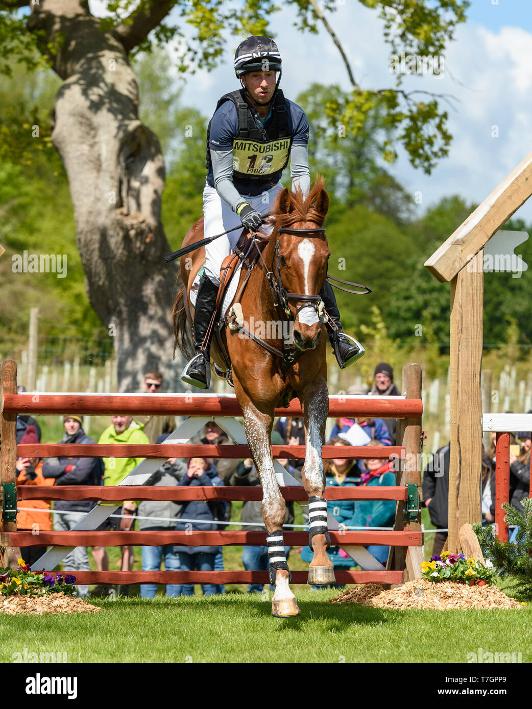 Tim Price and BANGO during the cross country phase of the Mitsubishi Motors Badminton Horse Trials, May 2019 Stock Photo