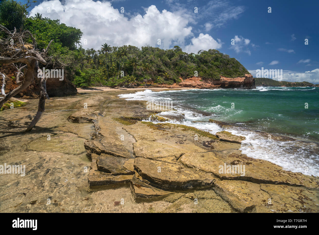 Woodford Hill Beach, Dominica, Karibik, Mittelamerika Woodford Hill