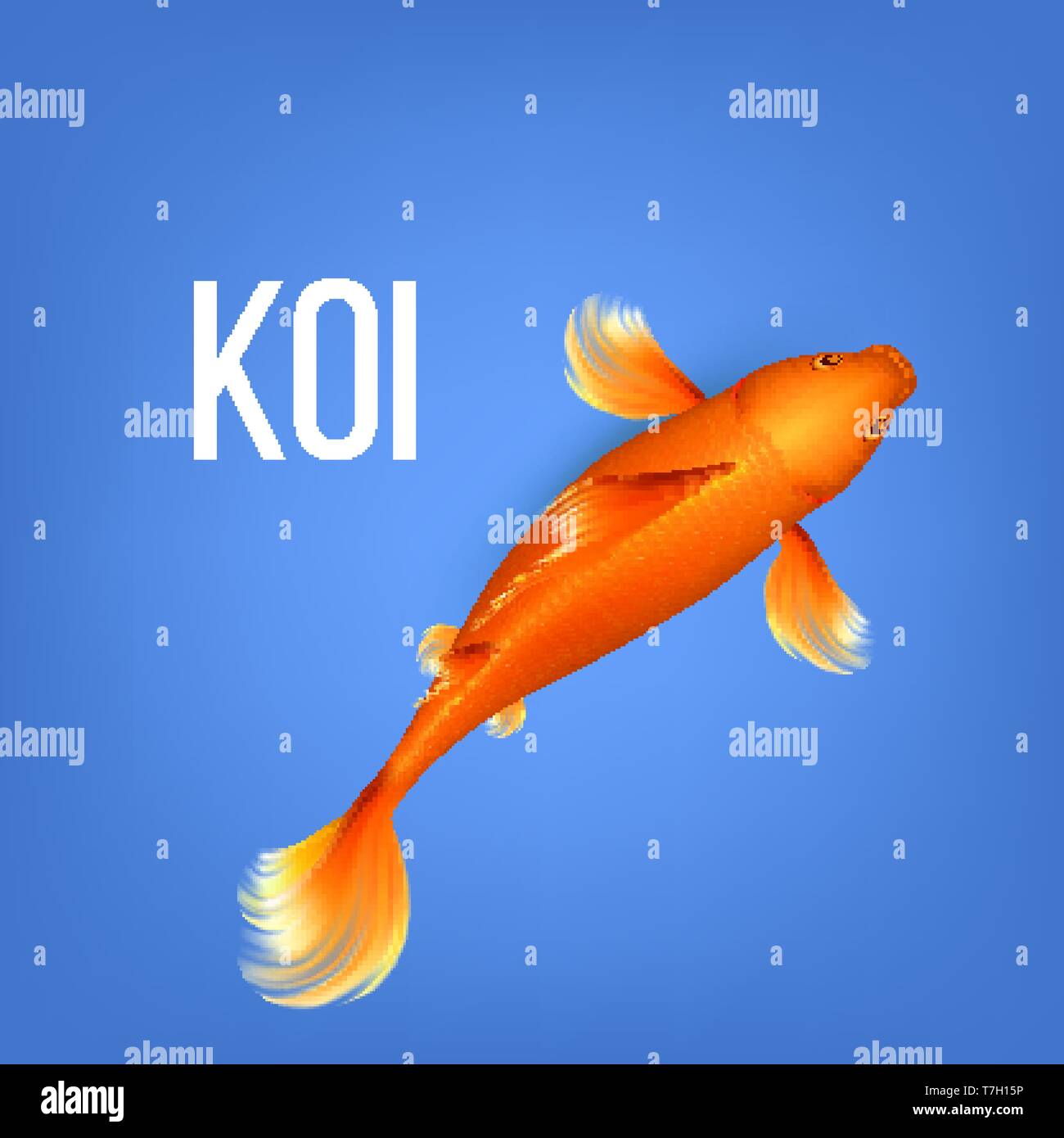 My Image 23