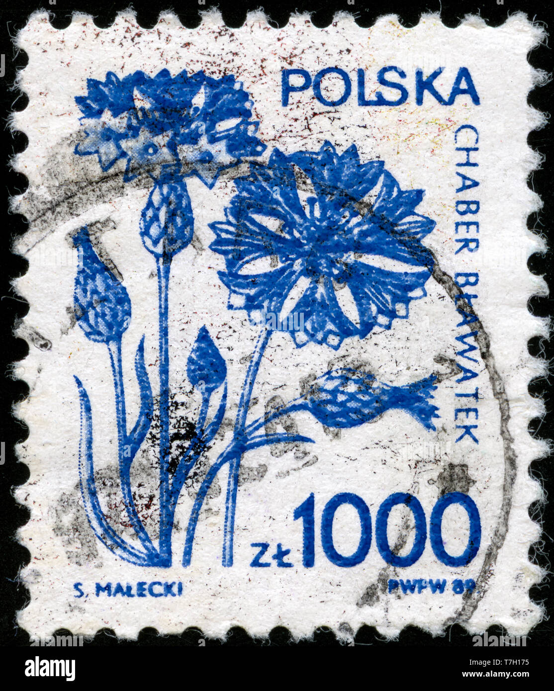 Postage stamp from Poland in the Medicinal Plants series issued in 1989 Stock Photo