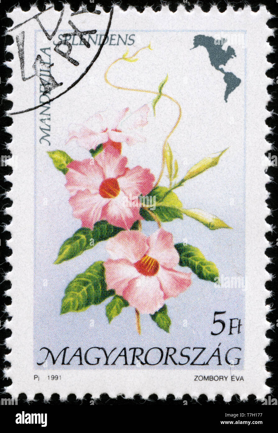 Postage stamp from Hungary in the Flora of America series issued in1991 ...