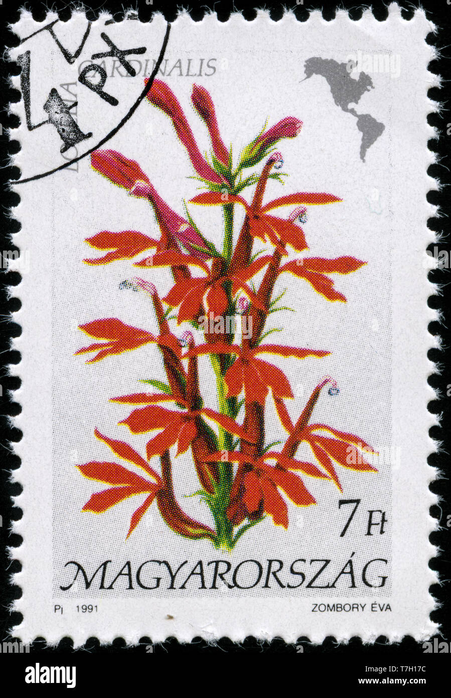 Postage stamp from Hungary in the Flora of America series issued in ...