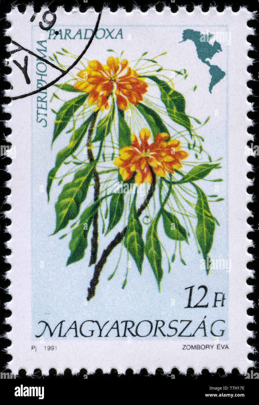 Postage stamp from Hungary in the Flora of America series issued in1991 ...