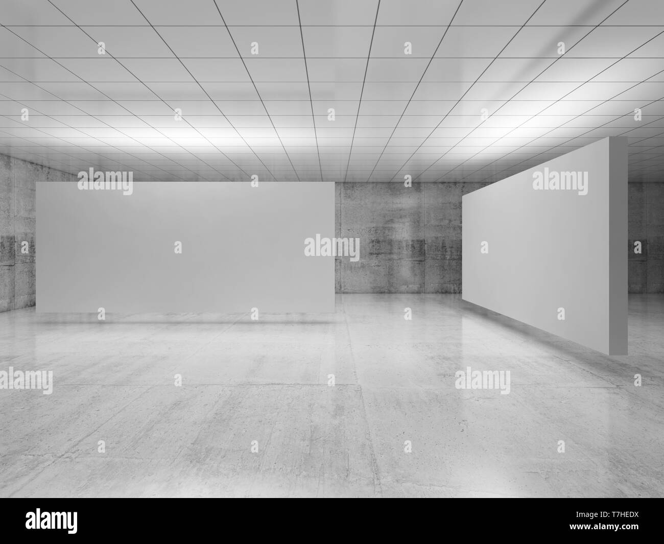 Abstract empty minimalist interior design, two white stands installation levitating in exhibition gallery with walls made of concrete and shiny ceilin Stock Photo
