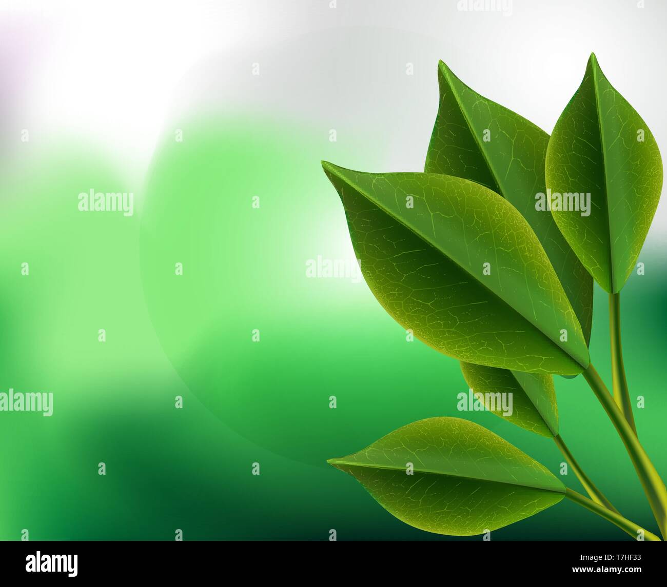 Nền tảng vector lá trà xanh chân thực 3D (Realistic 3d tea green leaves vector background): Bạn đam mê thiết kế và yêu thích tự nhiên? Bộ sưu tập nền tảng vector lá trà xanh chân thực 3D sẽ làm bạn hài lòng với những hình ảnh đầy chi tiết, chân thực và sống động. Bạn sẽ cảm nhận được sự tự do và thoải mái khi sáng tạo với những lá cây xanh mát trong thiết kế của mình.