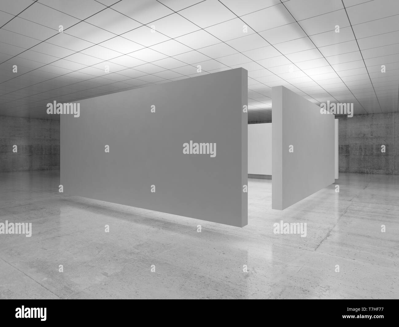 Abstract empty minimalist interior design, white stands installation levitating in exhibition gallery with walls made of polished concrete and shiny c Stock Photo