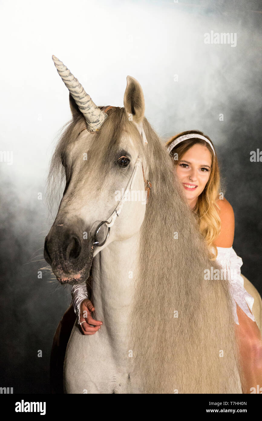 Young woman (fairy, virgin) on back of unicorn (Pure Spanish Horse with attached horn). Germany Stock Photo