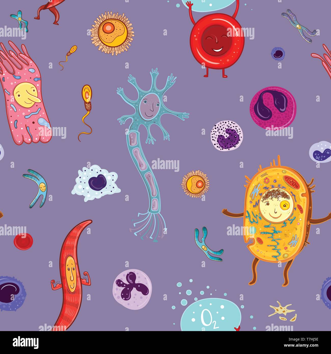 Vector biological seamless pattern with human cells and chromosomes. Illustration for school and kids. Stock Vector