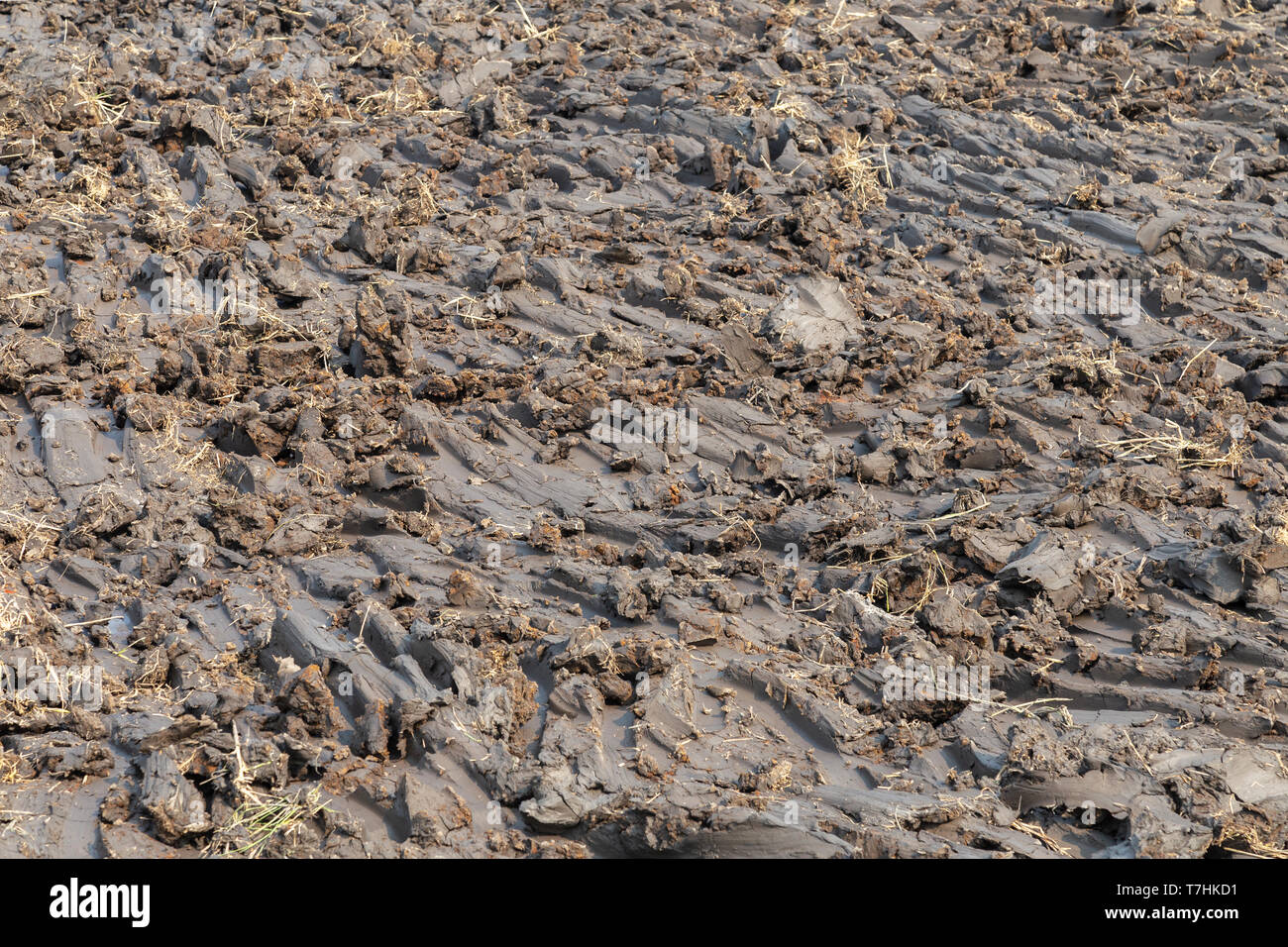 Clay Soil Dig Hi-res Stock Photography And Images - Alamy