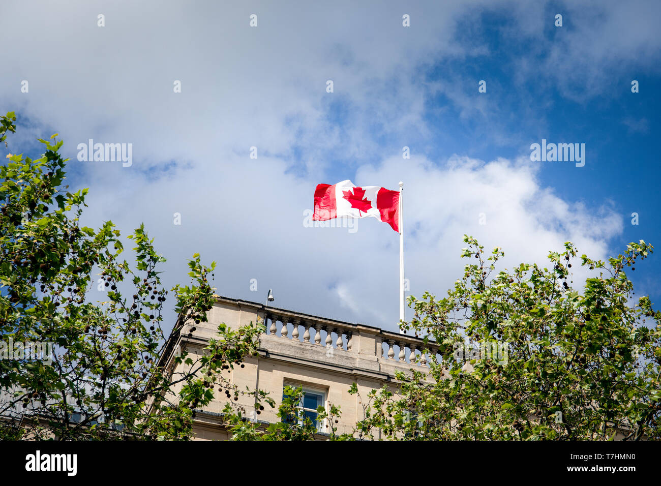 Waving canadian flag against hi-res stock photography and images - Alamy