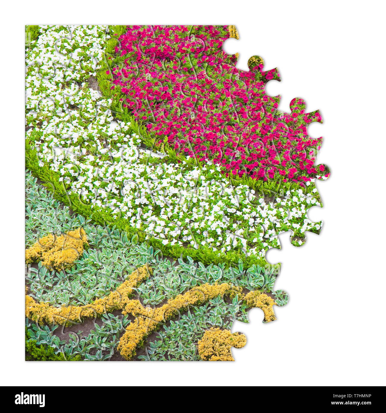Flowerbed finely cured - concept image in puzzle shape Stock Photo