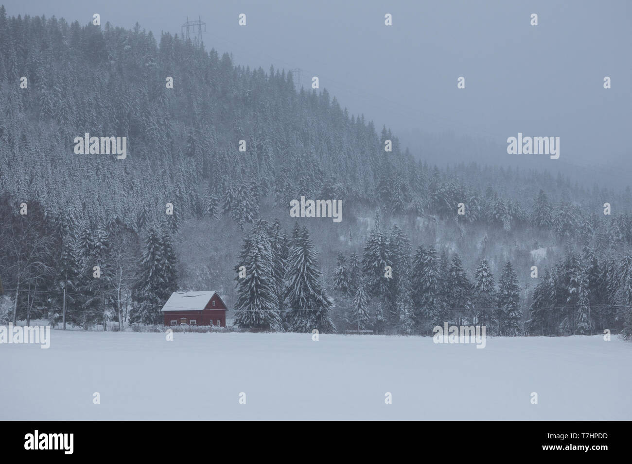 Wooden houses in the forest area near Ranheim, Norway. Wintertime and first snow falls. Stock Photo