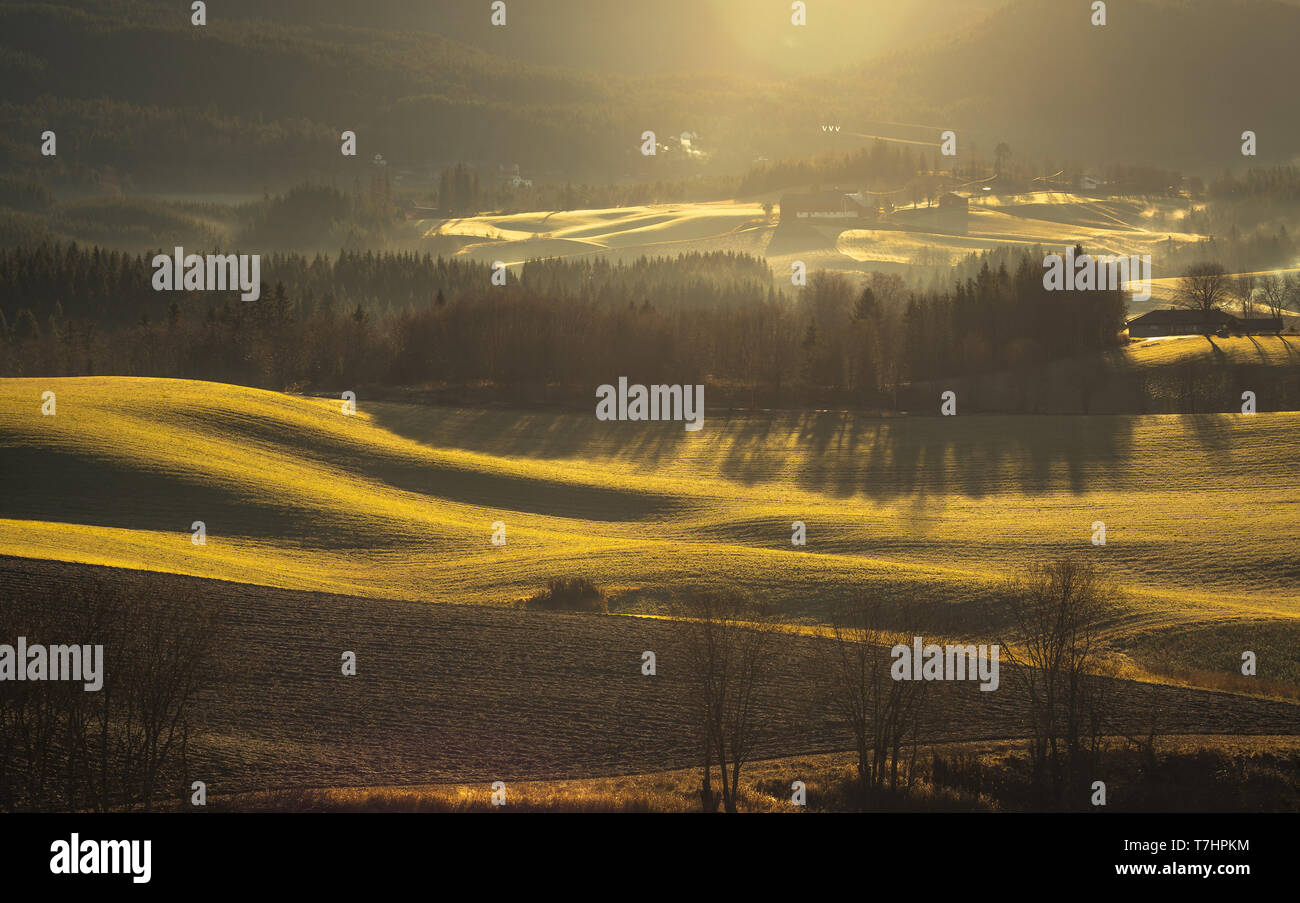 Beautiful landscapes outside Trondheim in rural area of Bratsberg. Distant trees, hills and villages. Warm, low light of sunrise and foggy air. Norway Stock Photo