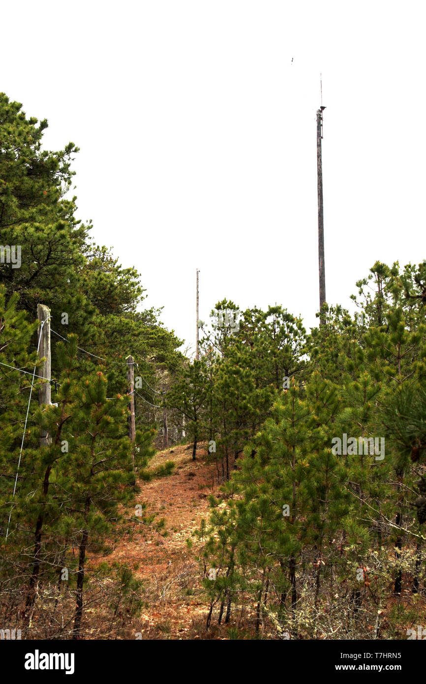 Usa Massachusetts Cape Cod New England North Chatham Marconi Rca Wireless Museum Radio Antenna Field Enigma Stock Photo Alamy
