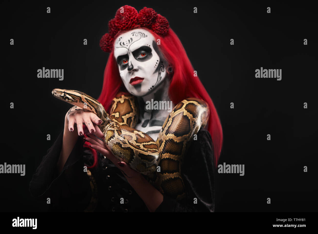 Model holding spooky big snake around neck and on hand, looking at camera, posing. Woman with sugar skull and skeleton make up having red lips, red hair and flower headband. Stock Photo