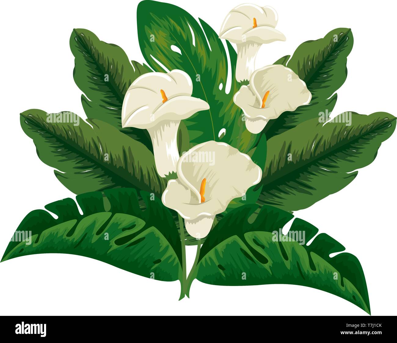 heliconia flower tropical plant with leafs Stock Vector Image & Art - Alamy
