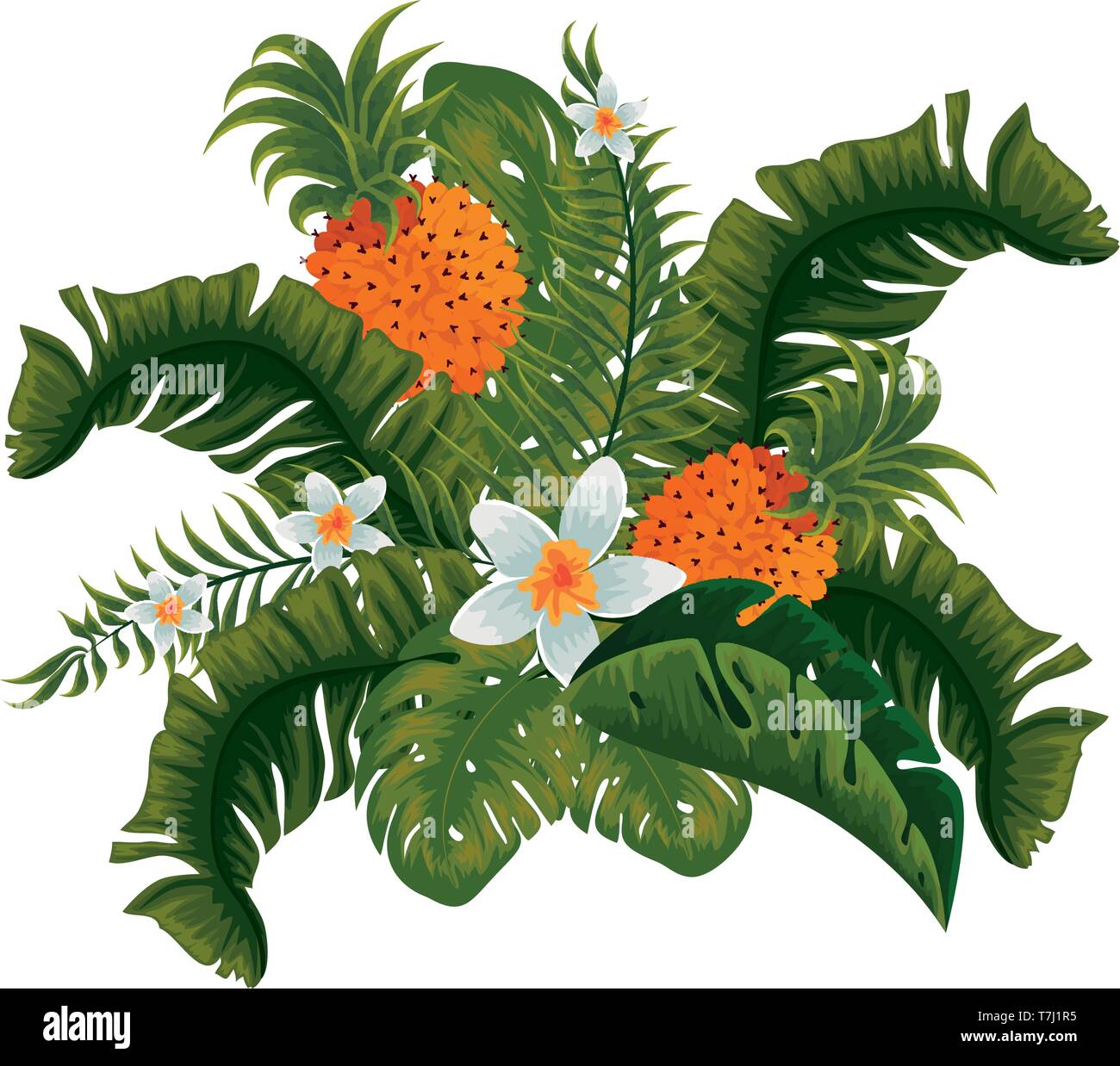 heliconia flower tropical plant with leafs and pineapple Stock Vector ...
