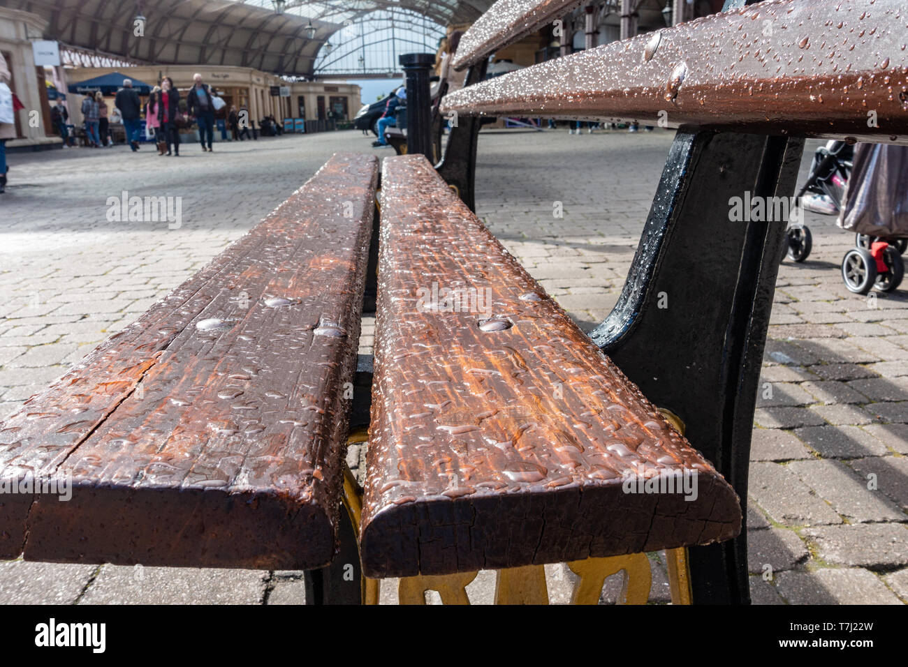 Close up view of a wooden bench which is wet and covered with water droplets following a passing shower. Stock Photo