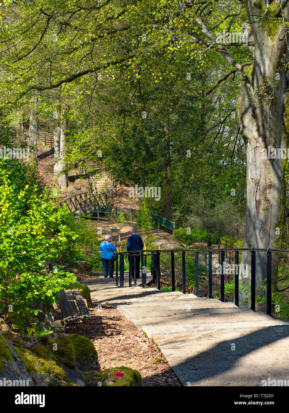 Man and Woman In Garden, Pitlochry Explorers, Scotland, UK Stock Photo